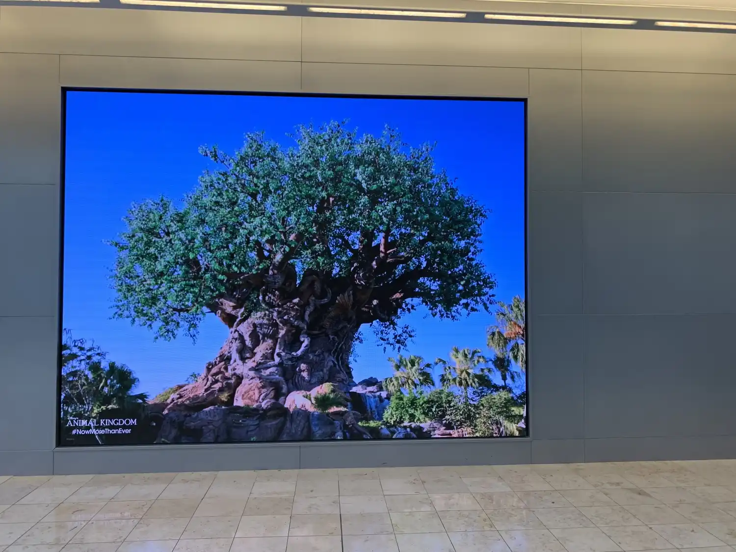 1.58mm Pixel Pitch Indoor LED Display Board for Souvenir Gift Shop