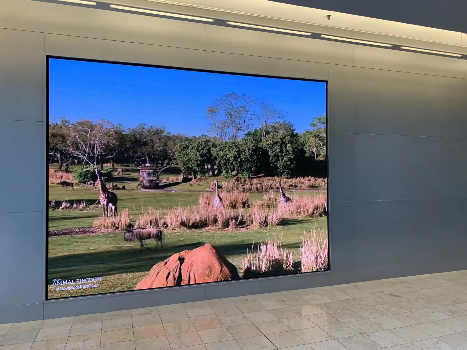 1.58mm Pixel Pitch Indoor LED Display Board for Souvenir Gift Shop